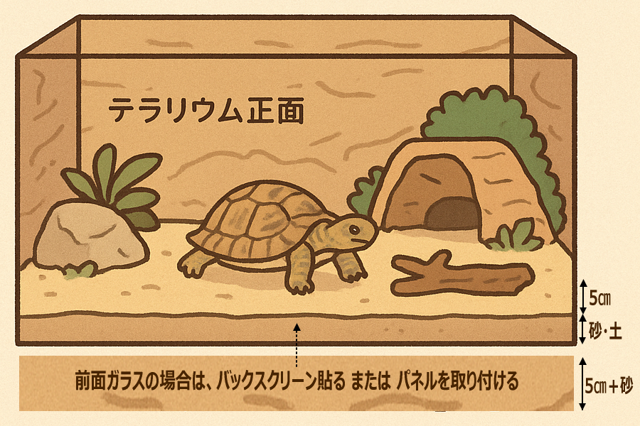 リクガメ（テラリウム飼育）のレイアウト工夫