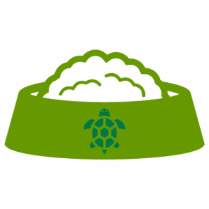 カメの餌の内容と与え方