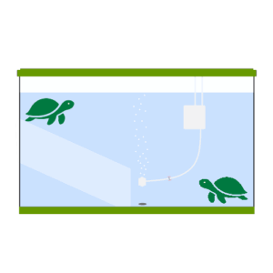 水換えと衛生管理