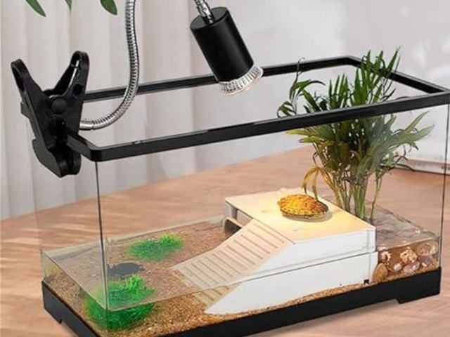 カメとの暮らしを豊かに（飼育グッズ販売）