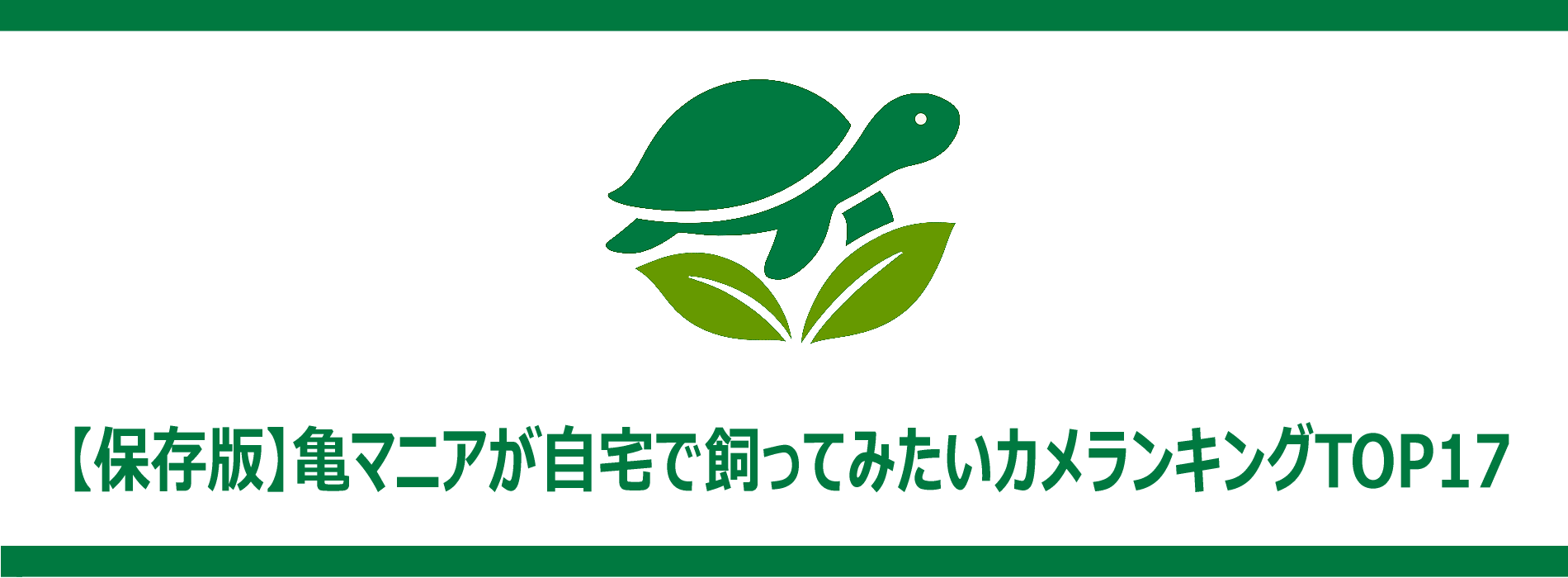 【保存版】亀マニアが自宅で飼ってみたいカメランキングTOP17